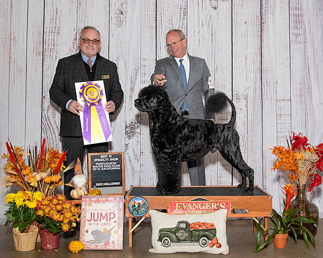 Lute - Best in Specialty at the North California PWD Club